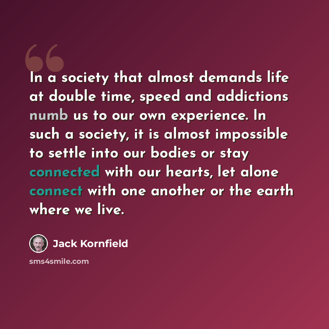 “In a society that almost demands life at double time, speed and addictions numb us to our own experience. In such a society, it is almost impossible to settle into our bodies or stay connected with our hearts, let alone connect with one another or the earth where we live.” quote by Jack Kornfield