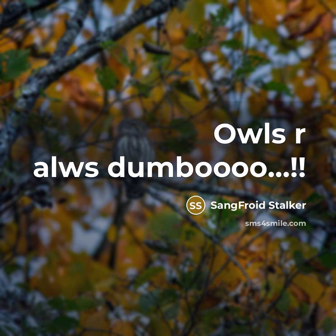 “Owls r alws dumboooo…!!” quote by SangFroid Stalker