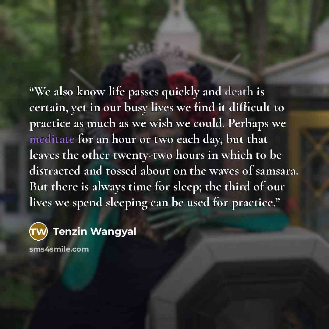 “We also know life passes quickly and death is certain, yet in our busy lives we find it difficult to practice as much as we wish we could. Perhaps we meditate for an hour or two each day, but that leaves the other twenty-two hours in which to be distracted and tossed about on the waves of samsara…” quote by Tenzin Wangyal