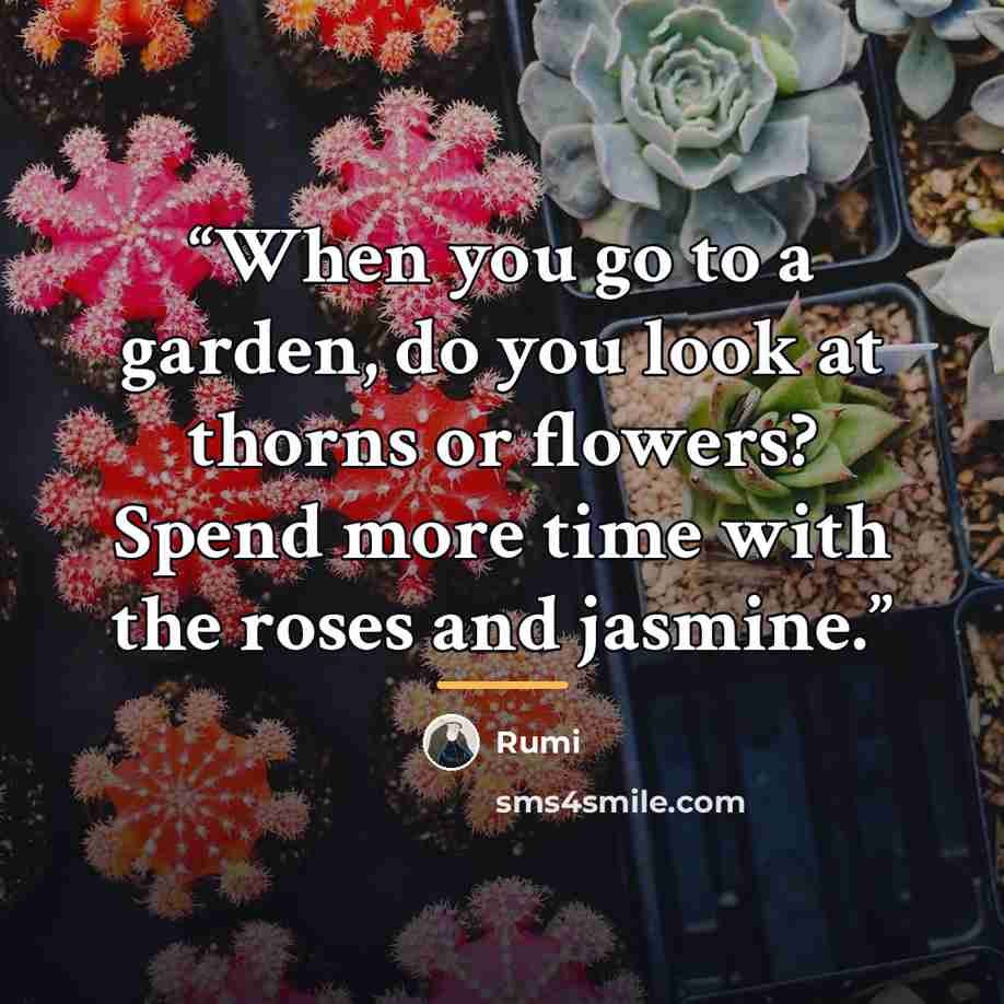 “When you go to a garden, do you look at thorns or flowers? Spend more time with the roses and jasmine.” quote by Rumi