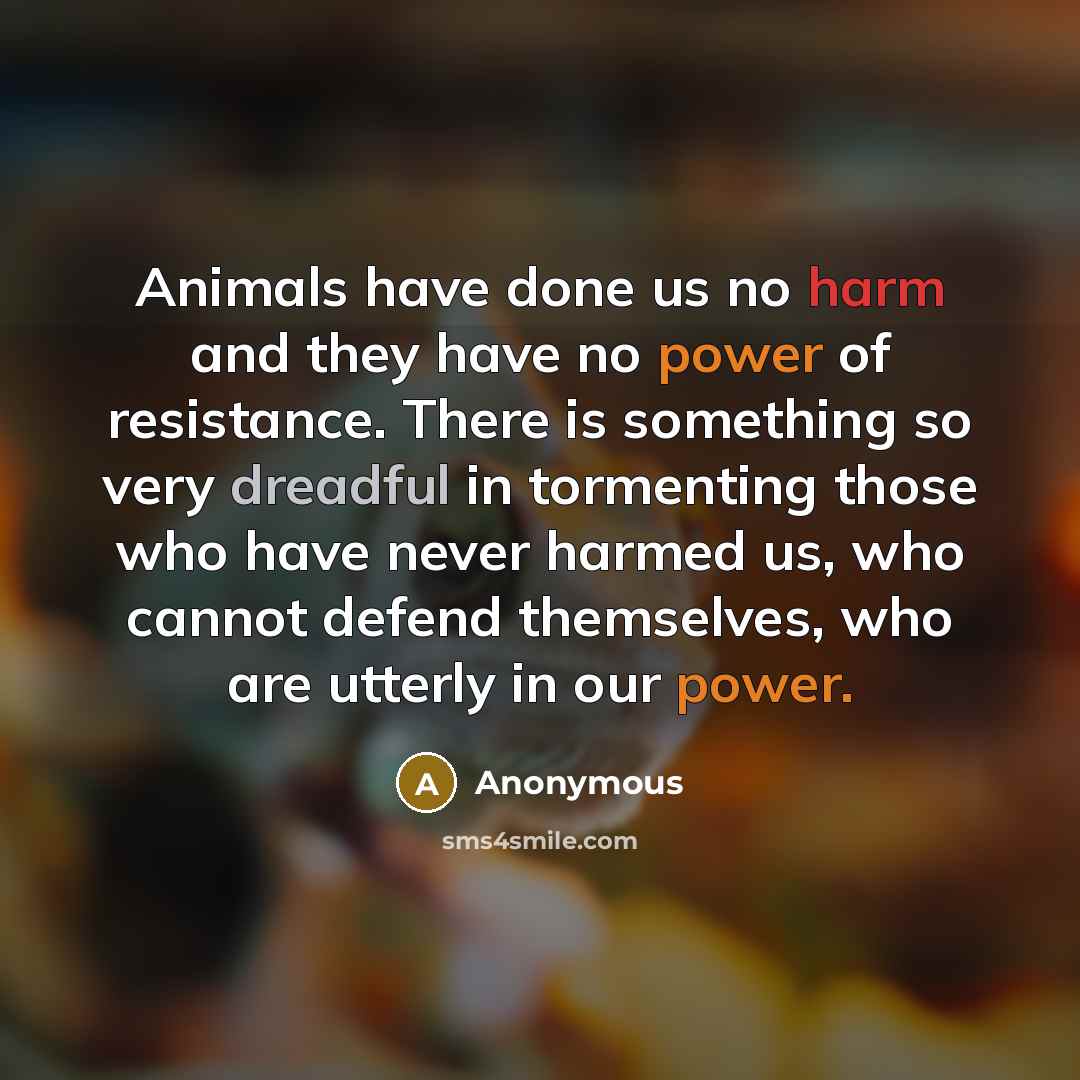 “Animals have done us no harm and they have no power of resistance. There is something so very dreadful in tormenting those who have never harmed us, who cannot defend themselves, who are utterly in our power.” quote by Anonymous