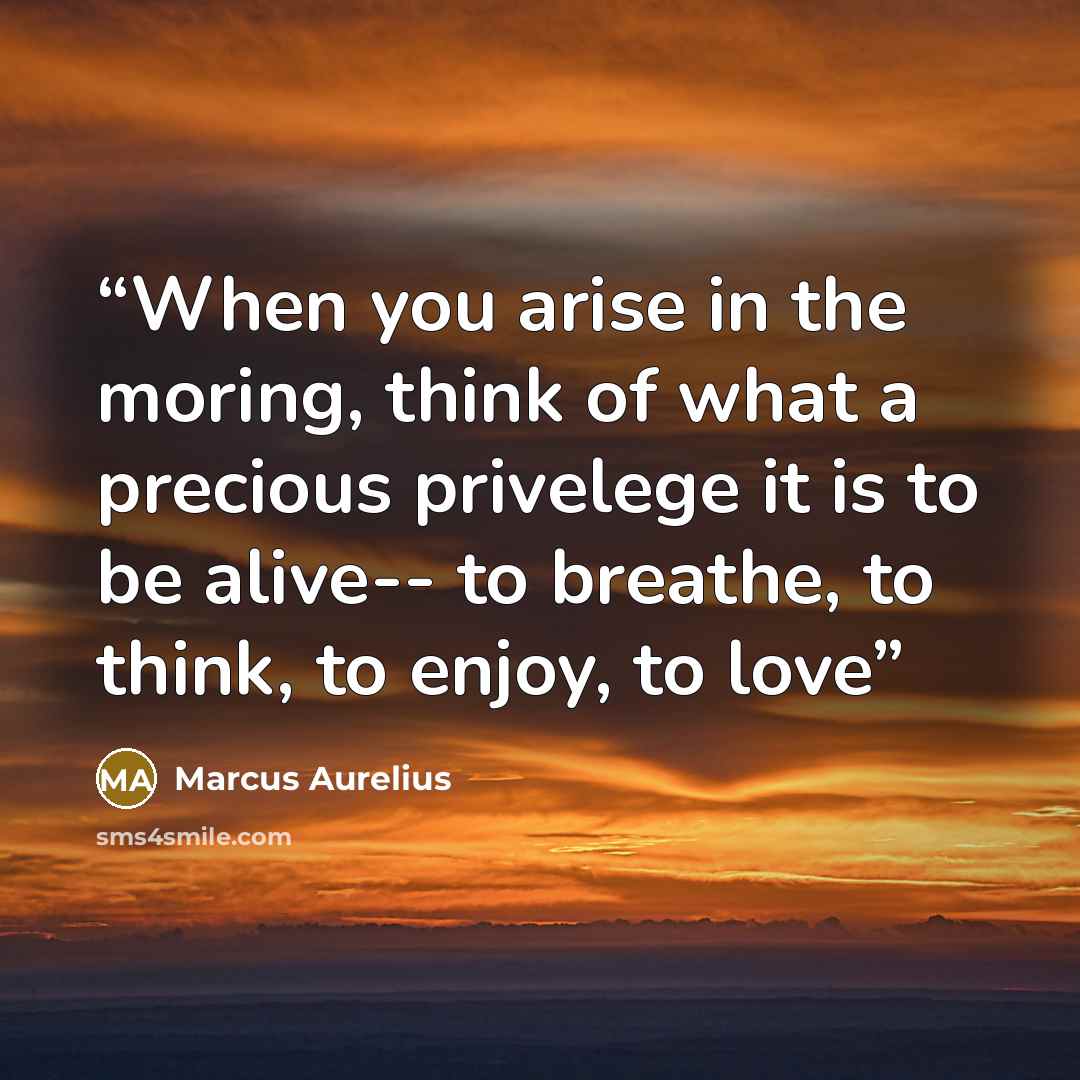 “When you arise in the moring, think of what a precious privelege it is to be alive-- to breathe, to think, to enjoy, to love” quote by Marcus Aurelius