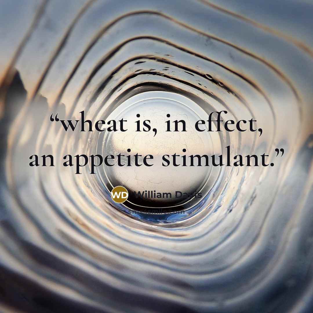 “wheat is, in effect, an appetite stimulant.” quote by William Davis
