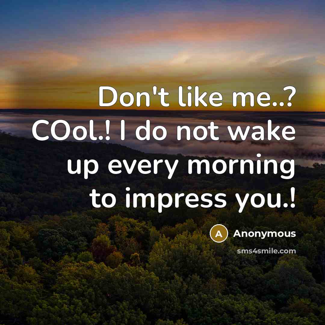 “Don't like me..? COol.! I do not wake up every morning to impress you.!” quote by Anonymous
