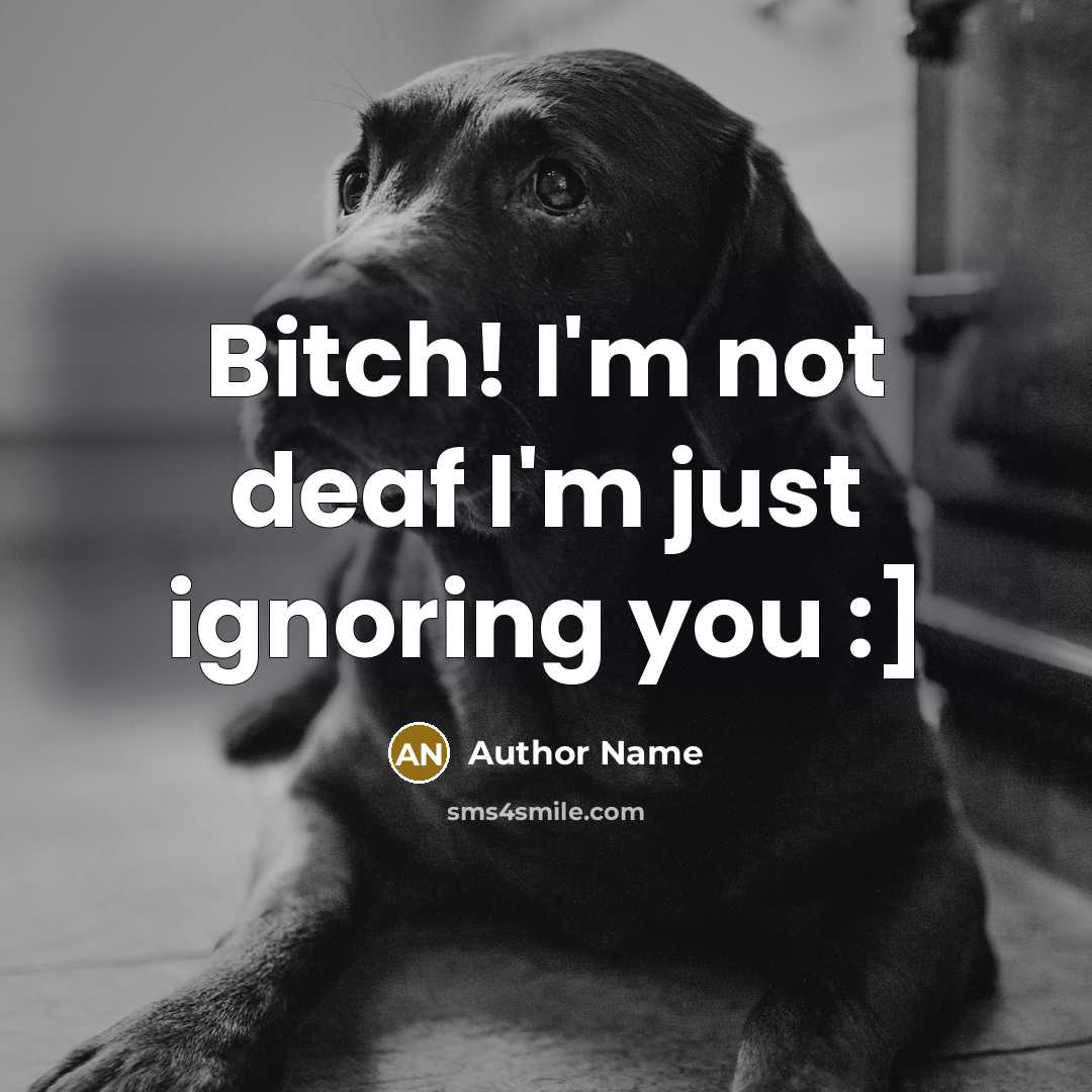 “Bitch! I'm not deaf I'm just ignoring you :]” quote by Author Name