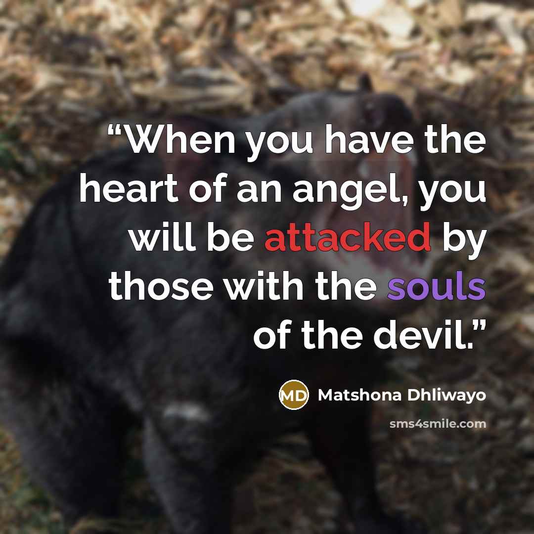 “When you have the heart of an angel, you will be attacked by those with the souls of the devil.” quote by Matshona Dhliwayo
