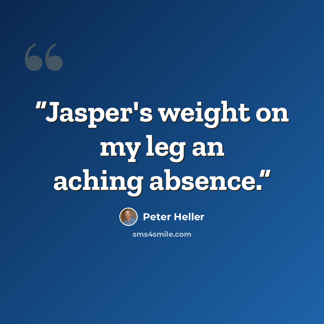 “Jasper's weight on my leg an aching absence.” quote by Peter Heller