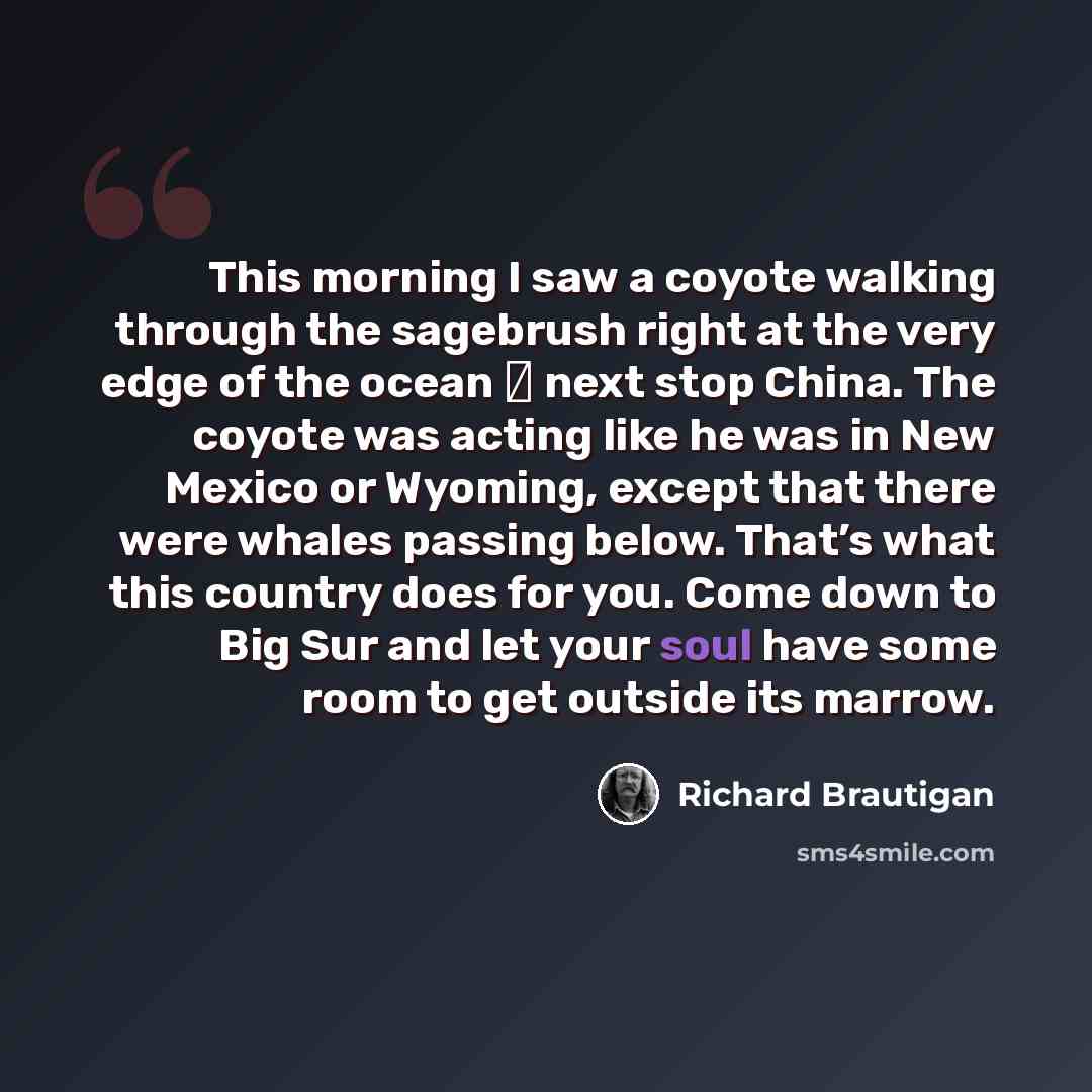 “This morning I saw a coyote walking through the sagebrush right at the very edge of the ocean ― next stop China. The coyote was acting like he was in New Mexico or Wyoming, except that there were whales passing below. That’s what this country does for you. Come down to Big Sur and let your soul…” quote by Richard Brautigan