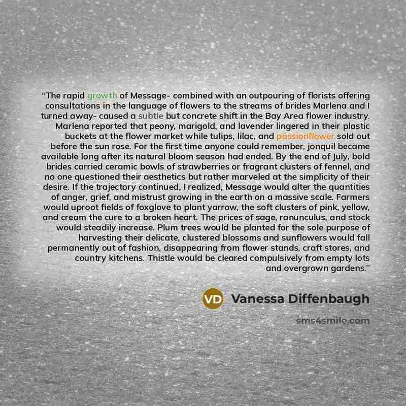 “The rapid growth of Message- combined with an outpouring of florists offering consultations in the language of flowers to the streams of brides Marlena and I turned away- caused a subtle but concrete shift in the Bay Area flower industry. Marlena reported that peony, marigold, and lavender…” quote by Vanessa Diffenbaugh