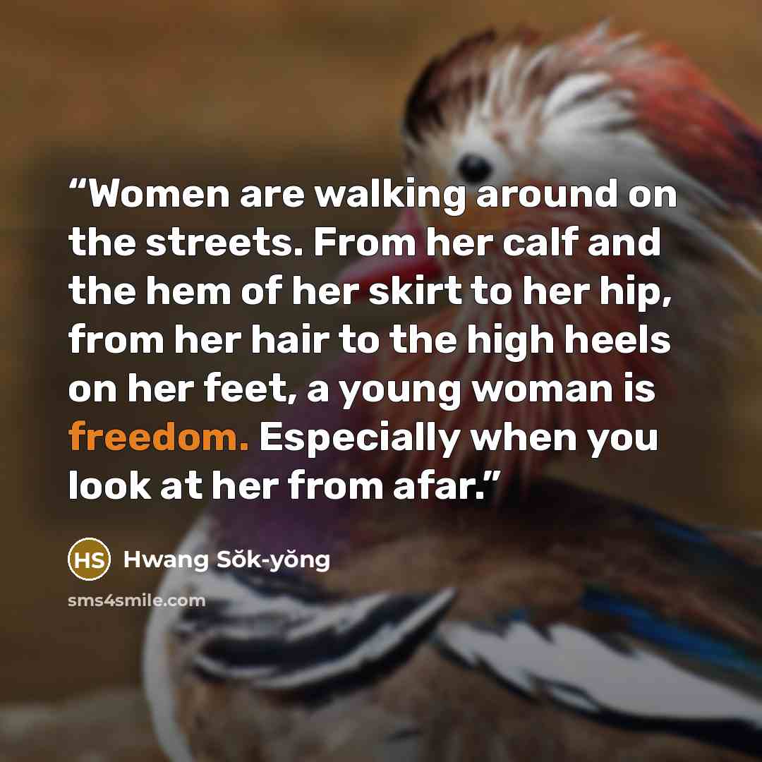 “Women are walking around on the streets. From her calf and the hem of her skirt to her hip, from her hair to the high heels on her feet, a young woman is freedom. Especially when you look at her from afar.” quote by Hwang Sŏk-yŏng
