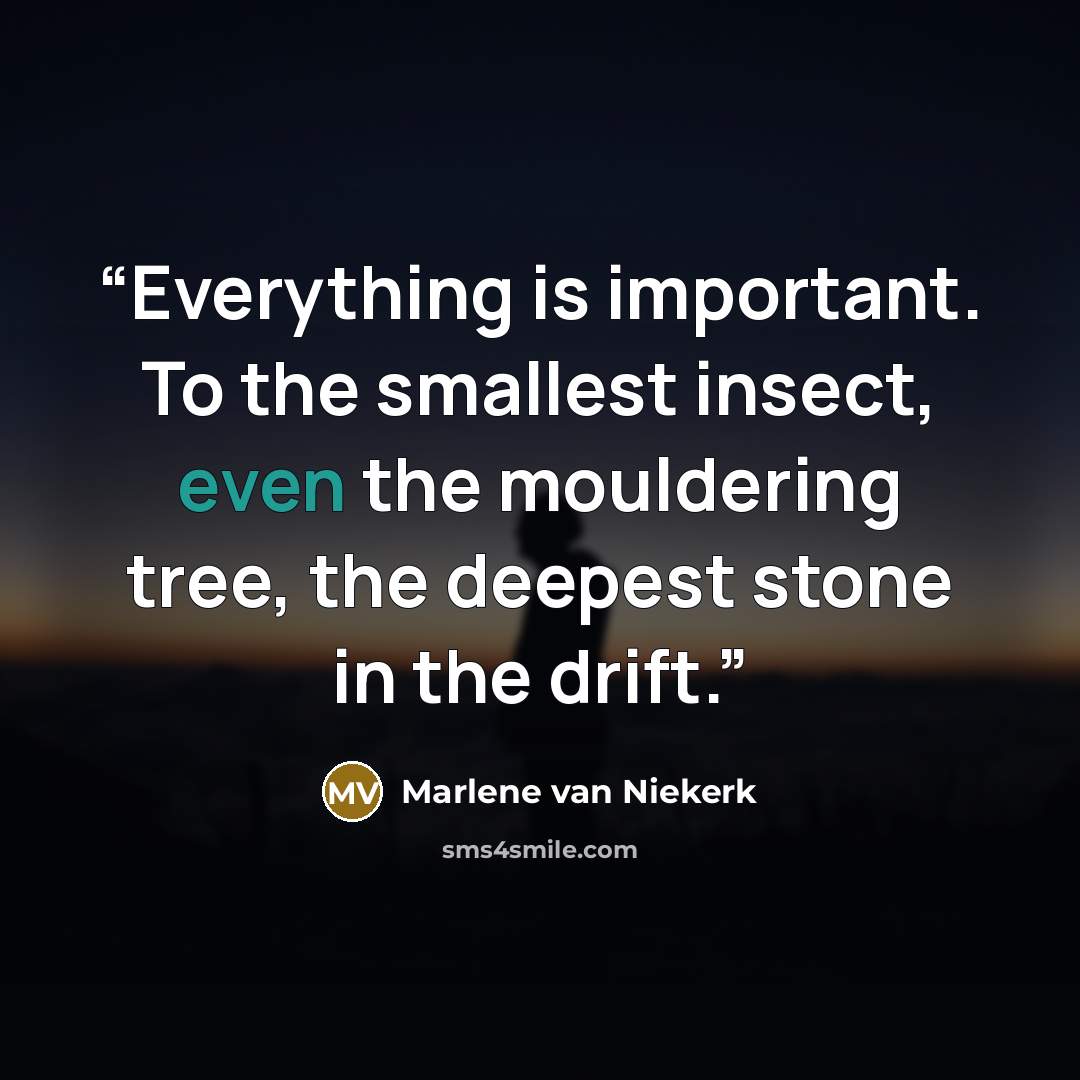 “Everything is important. To the smallest insect, even the mouldering tree, the deepest stone in the drift.” quote by Marlene Van Niekerk
