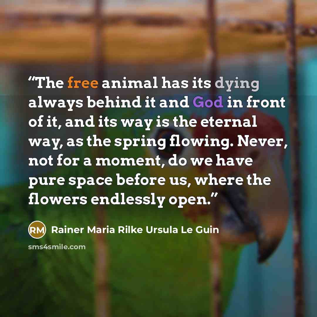 “The free animal has its dying always behind it and God in front of it, and its way is the eternal way, as the spring flowing. Never, not for a moment, do we have pure space before us, where the flowers endlessly open.” quote by Rainer Maria Rilke Ursula Le Guin