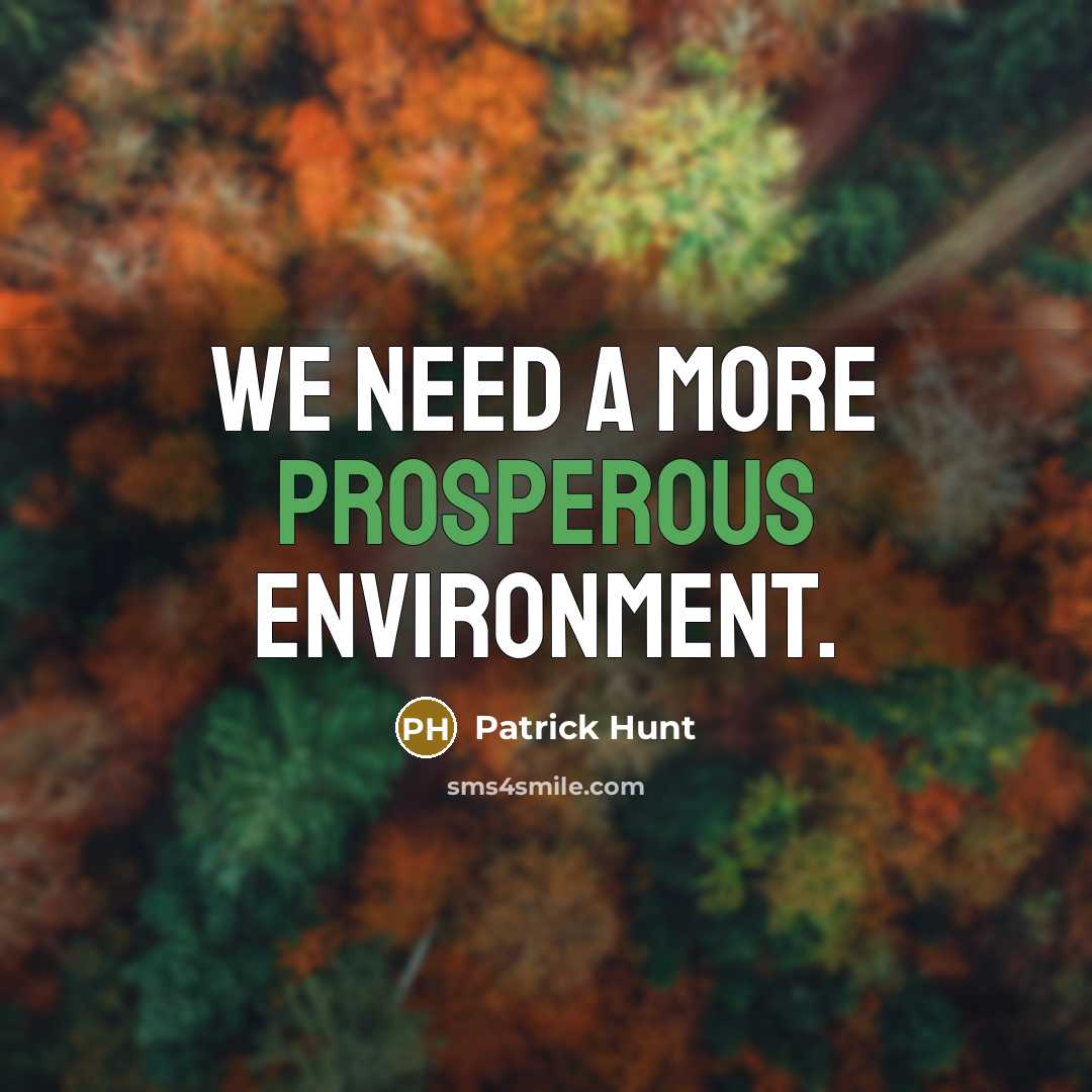 “We need a more prosperous environment.” quote by Patrick Hunt