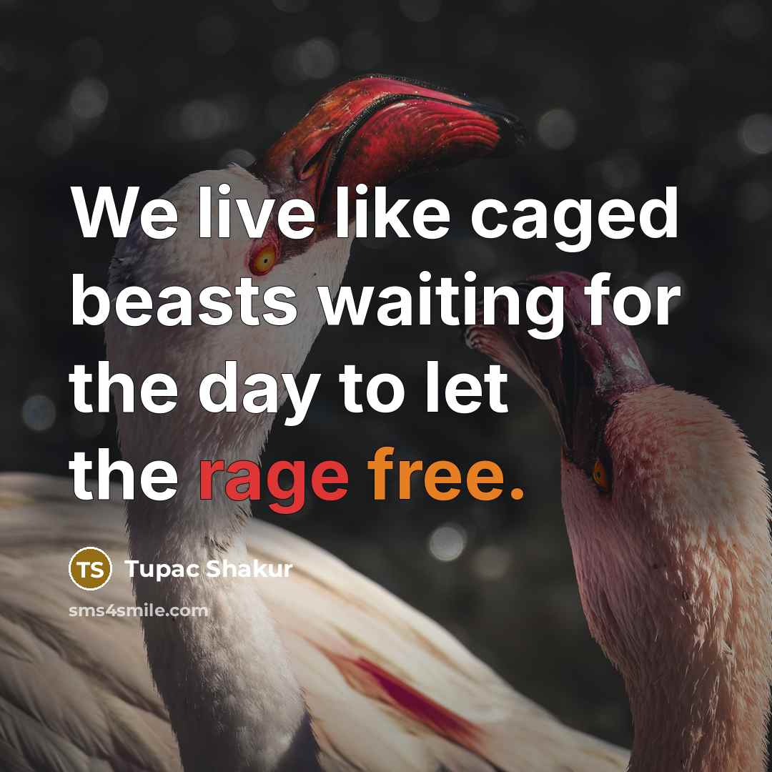 “We live like caged beasts waiting for the day to let the rage free.” quote by Tupac Shakur