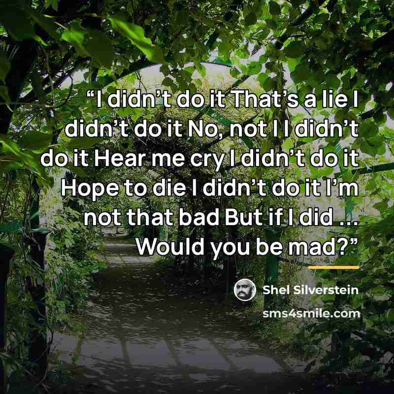 “I didn't do it That's a lie I didn't do it No, not I I didn't do it Hear me cry I didn't do it Hope to die I didn't do it I'm not that bad But if I did ... Would you be mad?” quote by Shel Silverstein