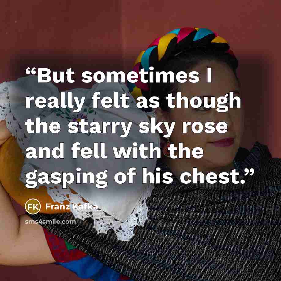 “But sometimes I really felt as though the starry sky rose and fell with the gasping of his chest.” quote by Franz Kafka