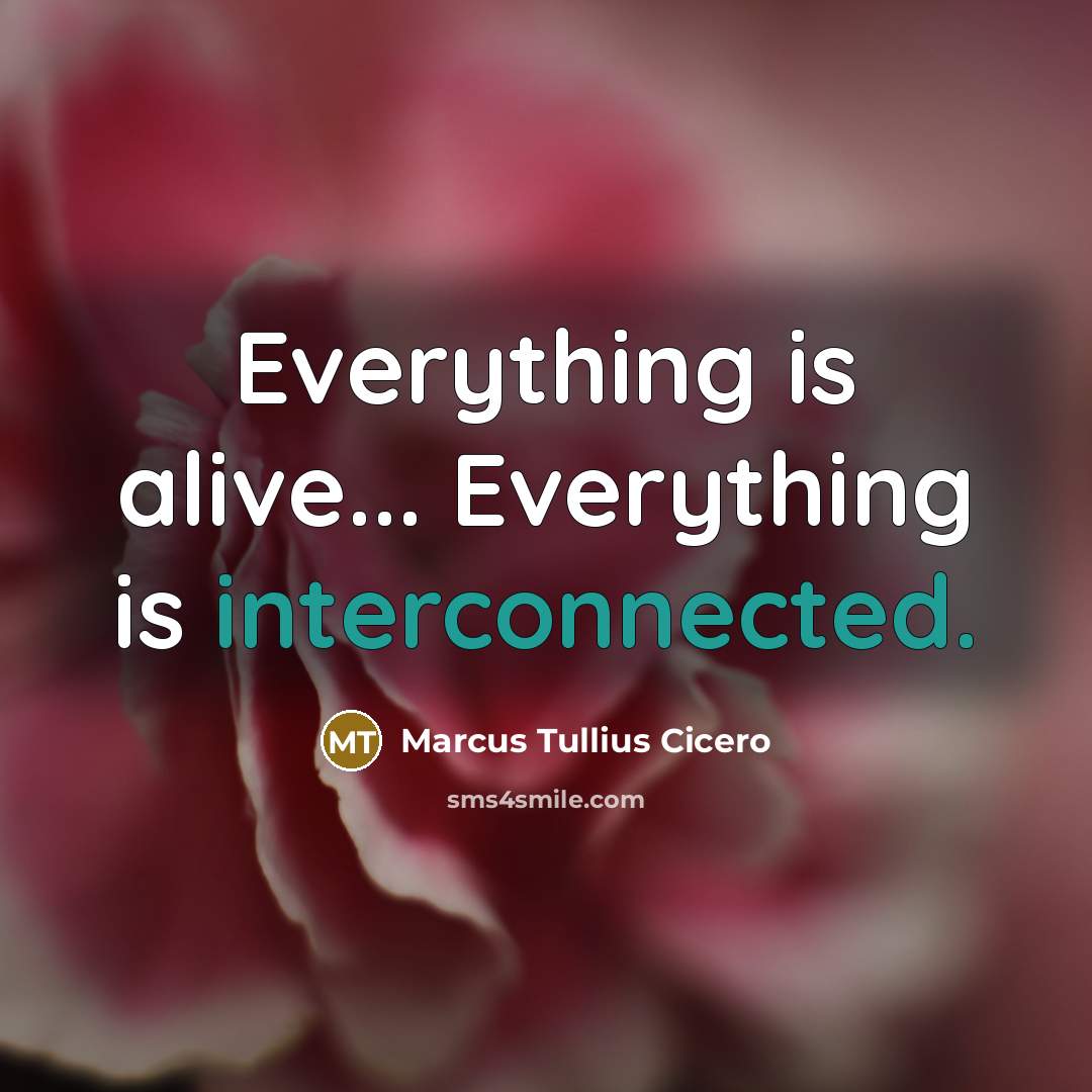 “Everything is alive... Everything is interconnected.” quote by Marcus Tullius Cicero