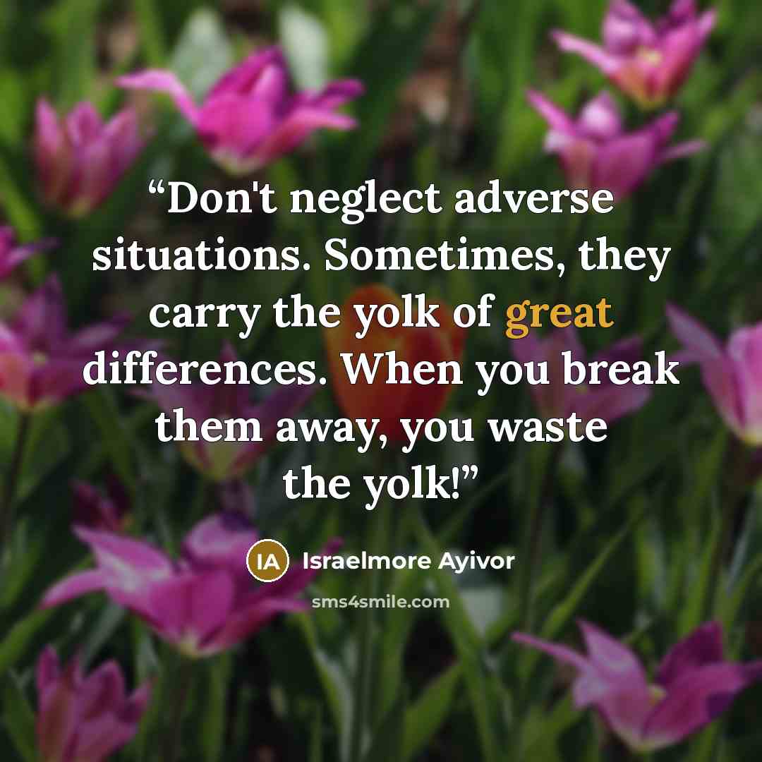 “Don't neglect adverse situations. Sometimes, they carry the yolk of great differences. When you break them away, you waste the yolk!” quote by Israelmore Ayivor