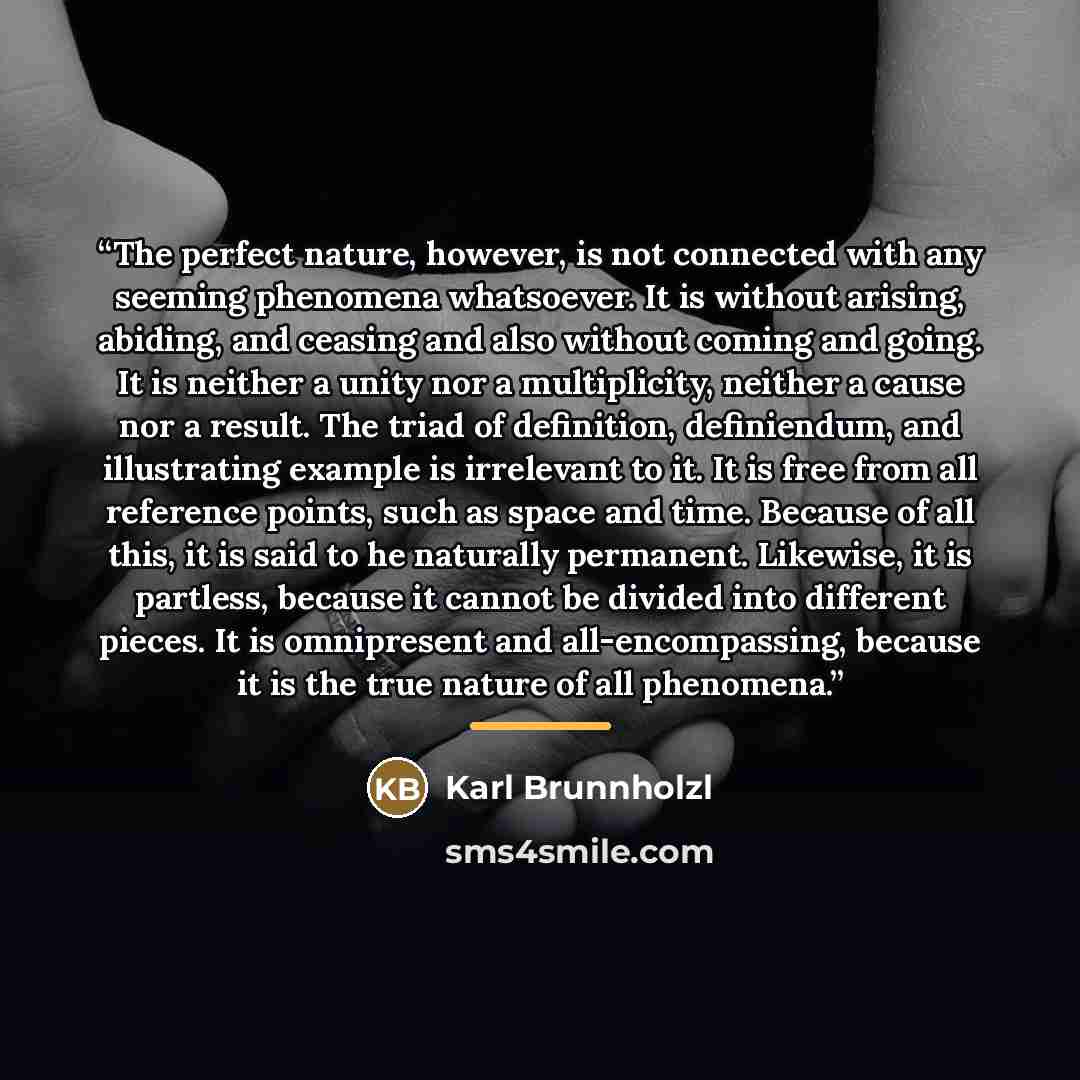 “The perfect nature, however, is not connected with any seeming phenomena whatsoever. It is without arising, abiding, and ceasing and also without coming and going. It is neither a unity nor a multiplicity, neither a cause nor a result. The triad of definition, definiendum, and illustrating example…” quote by Karl Brunnholzl
