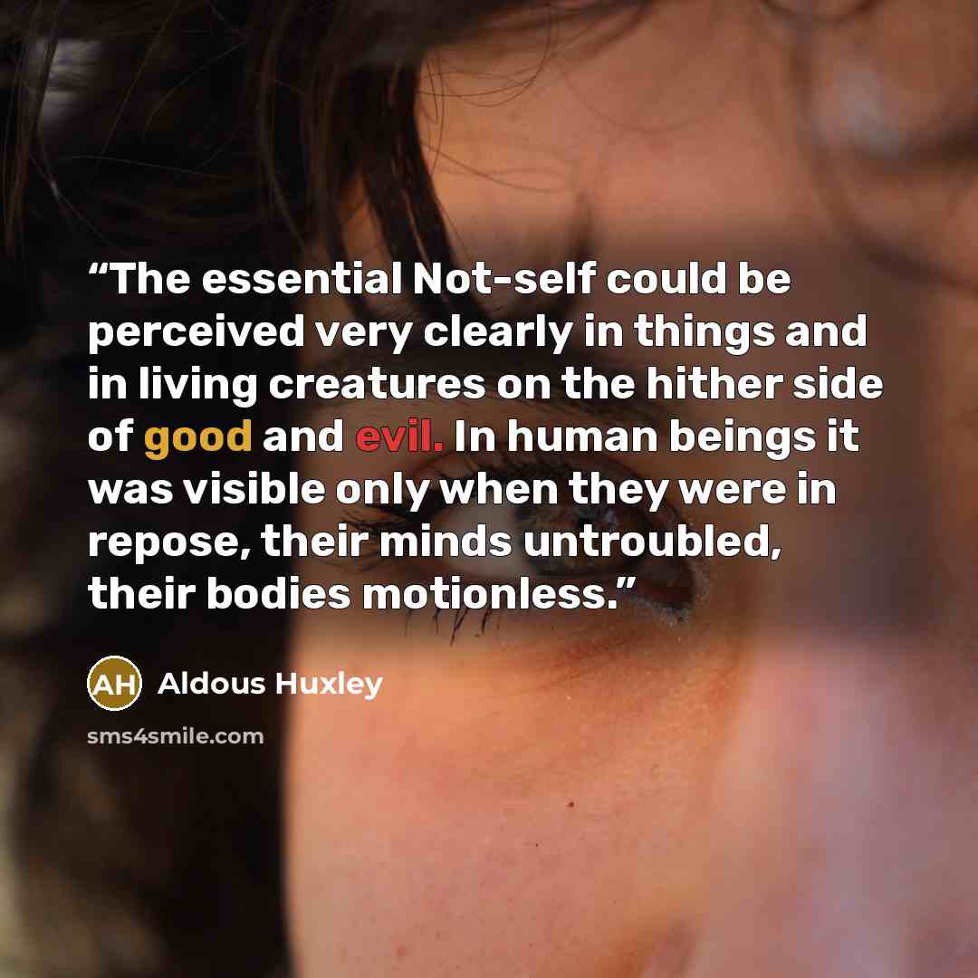 “The essential Not-self could be perceived very clearly in things and in living creatures on the hither side of good and evil. In human beings it was visible only when they were in repose, their minds untroubled, their bodies motionless.” quote by Aldous Huxley