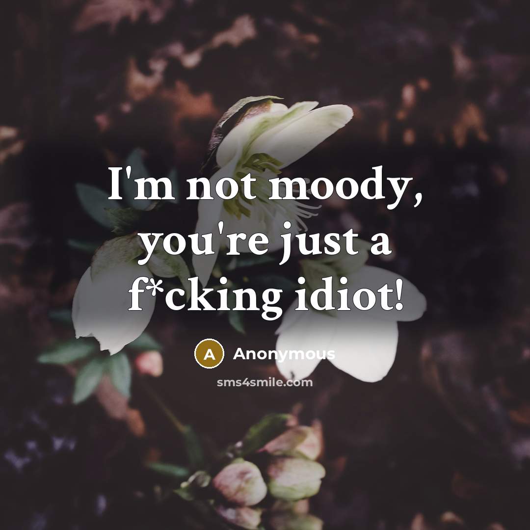 “I'm not moody, you're just a f*cking idiot!” quote by Anonymous