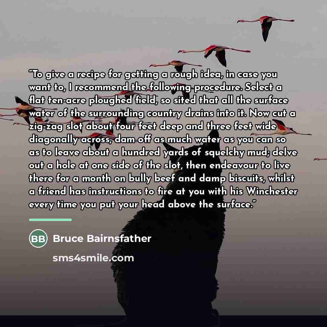 “To give a recipe for getting a rough idea, in case you want to, I recommend the following procedure. Select a flat ten-acre ploughed field, so sited that all the surface water of the surrounding country drains into it. Now cut a zig-zag slot about four feet deep and three feet wide diagonally…” quote by Bruce Bairnsfather