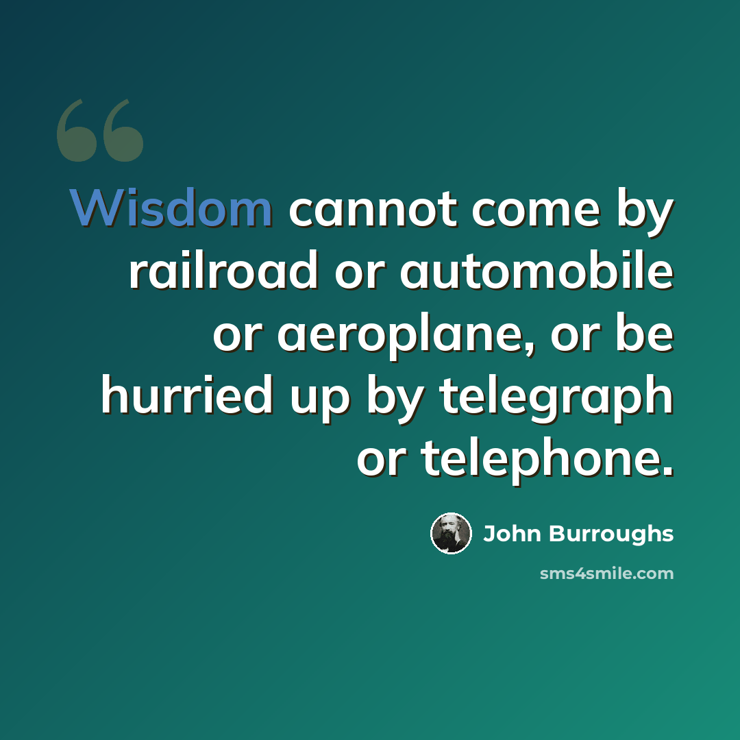 “Wisdom cannot come by railroad or automobile or aeroplane, or be hurried up by telegraph or telephone.” quote by John Burroughs