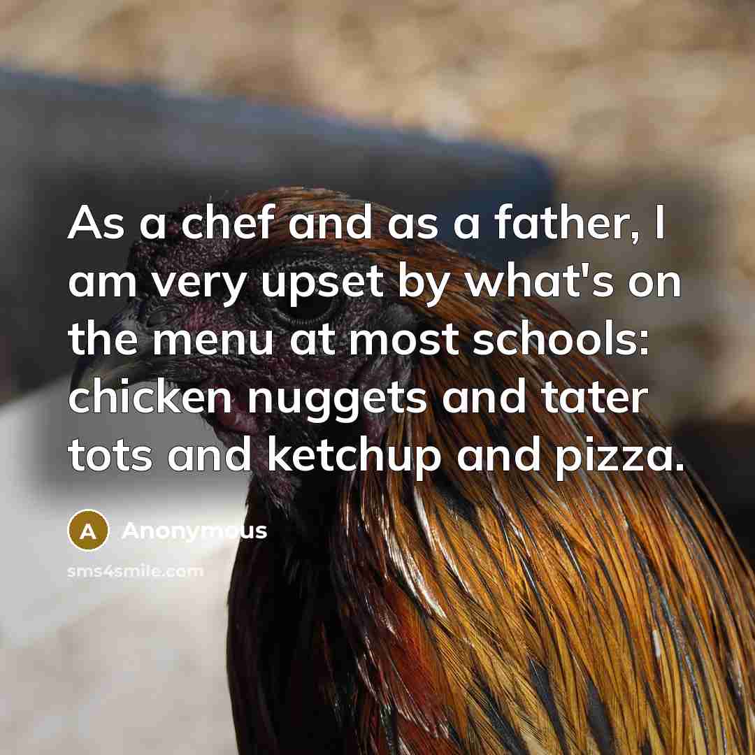 “As a chef and as a father, I am very upset by what's on the menu at most schools: chicken nuggets and tater tots and ketchup and pizza.” quote by Anonymous