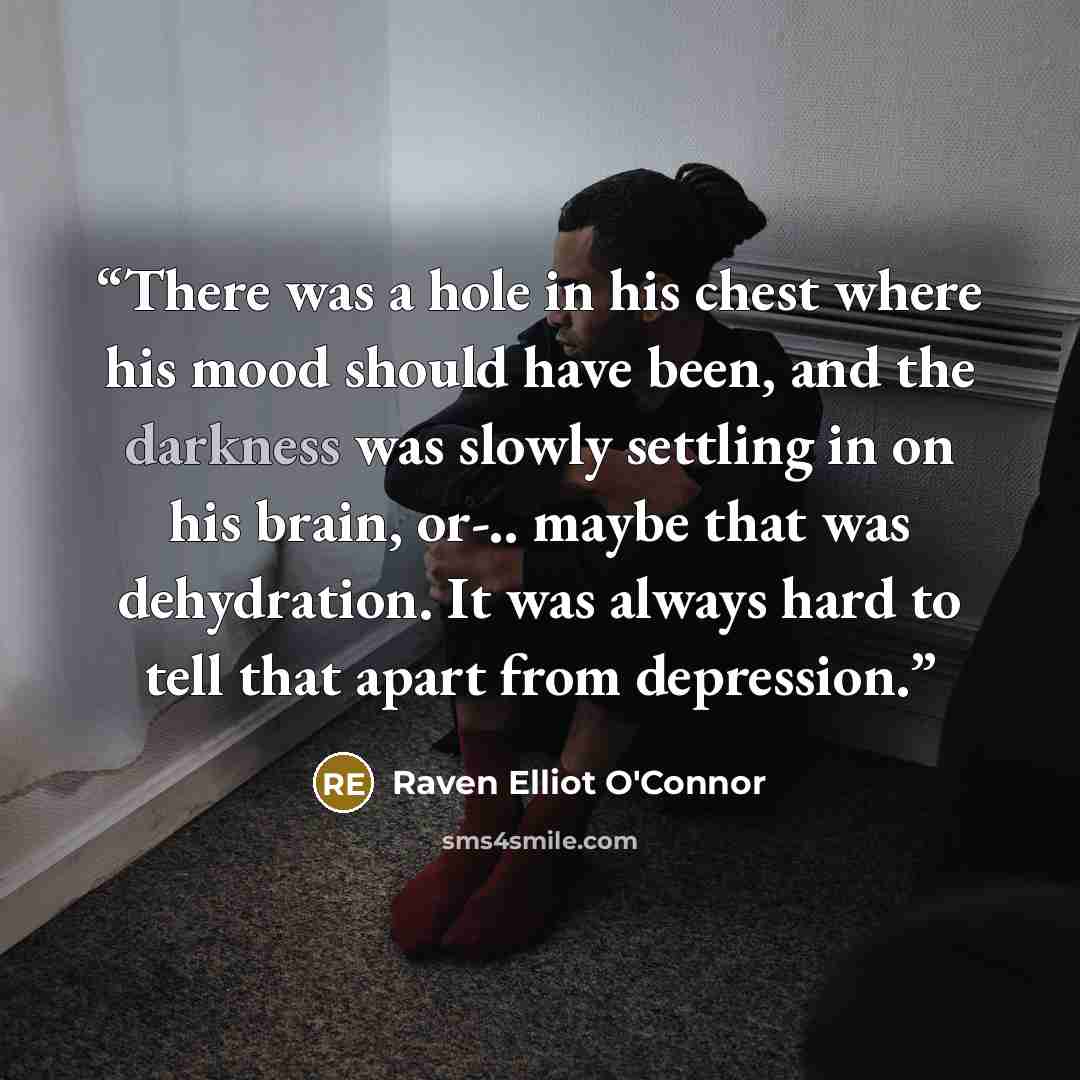 “There was a hole in his chest where his mood should have been, and the darkness was slowly settling in on his brain, or-.. maybe that was dehydration. It was always hard to tell that apart from depression.” quote by Raven Elliot O'Connor