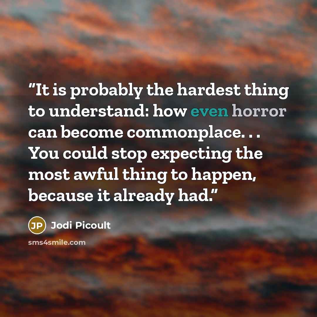 “It is probably the hardest thing to understand: how even horror can become commonplace. . . You could stop expecting the most awful thing to happen, because it already had.” quote by Jodi Picoult