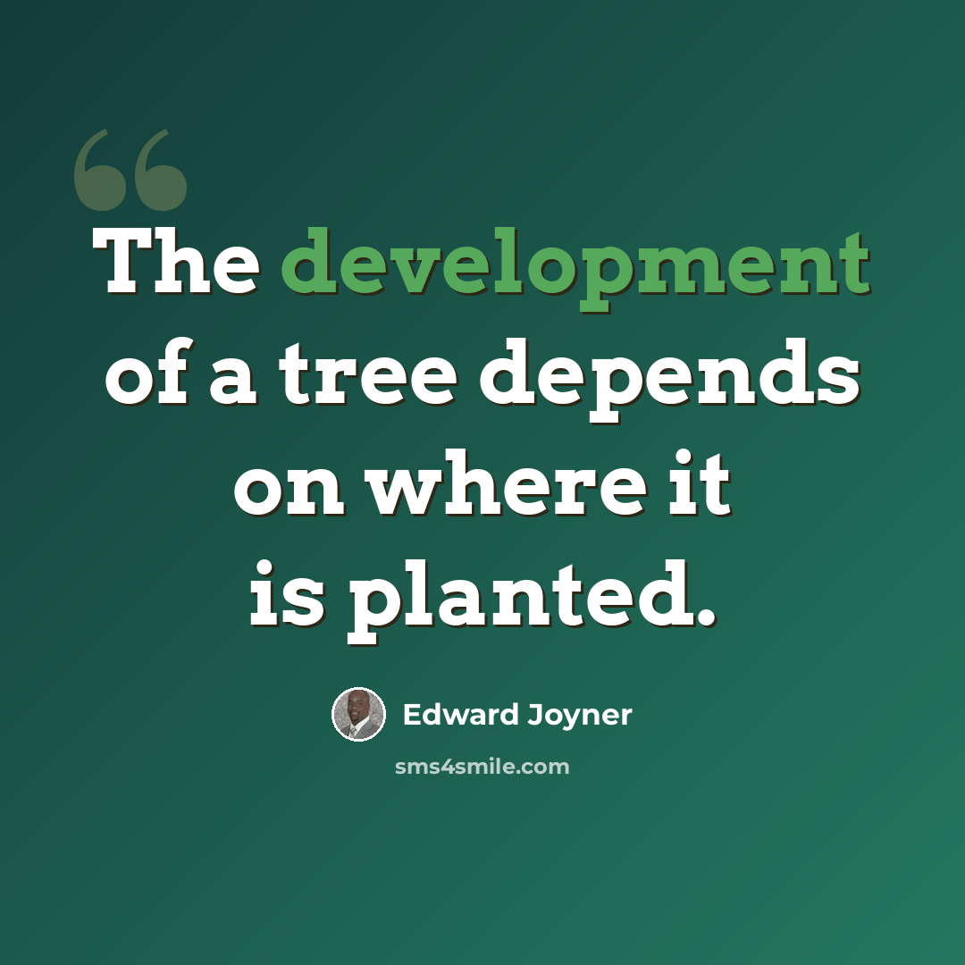 “The development of a tree depends on where it is planted.” quote by Edward Joyner