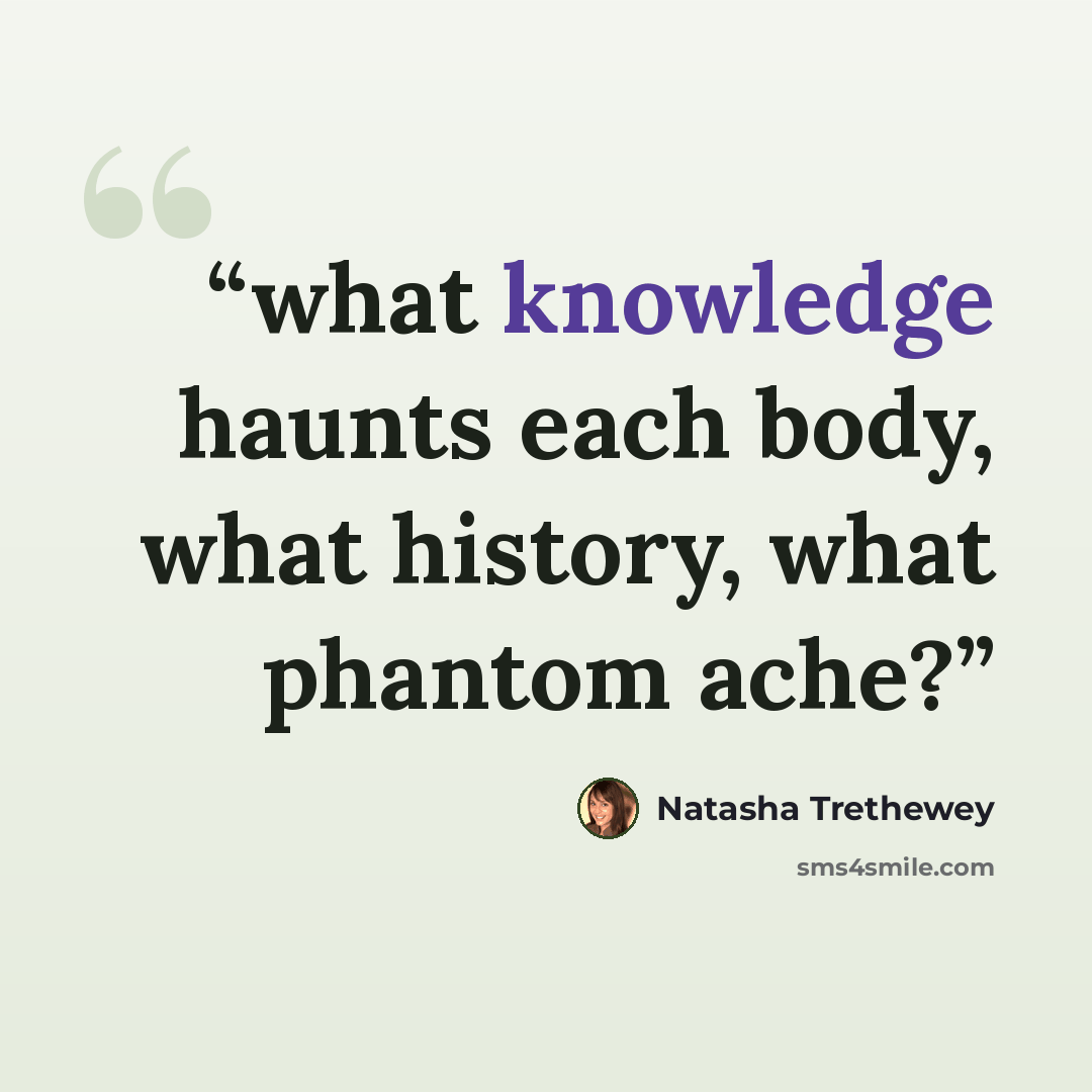 “what knowledge haunts each body, what history, what phantom ache?” quote by Natasha Trethewey