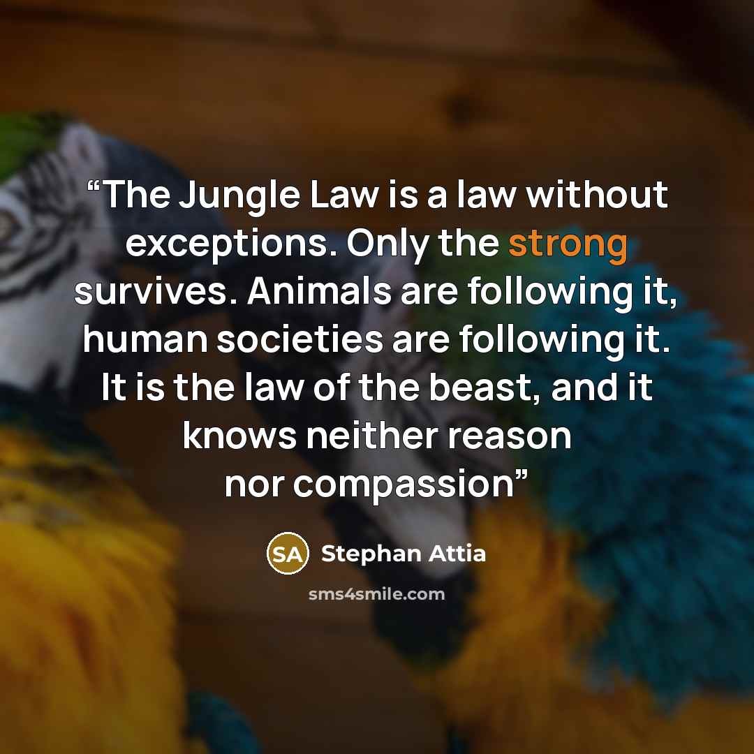 “The Jungle Law is a law without exceptions. Only the strong survives. Animals are following it, human societies are following it. It is the law of the beast, and it knows neither reason nor compassion” quote by Stephan Attia