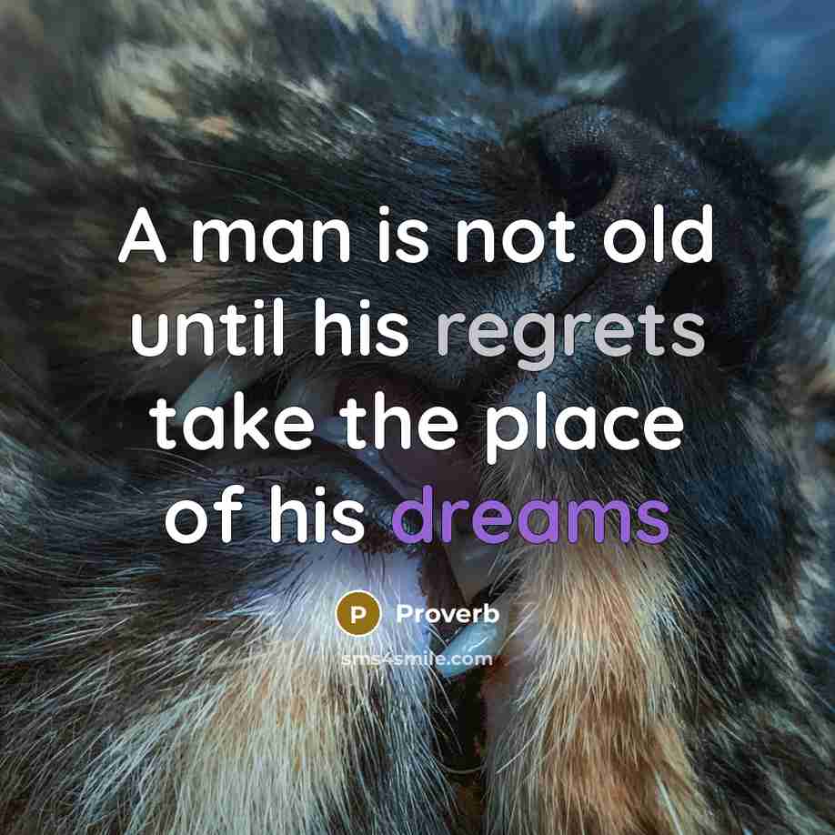 “A man is not old until his regrets take the place of his dreams” quote by Proverb