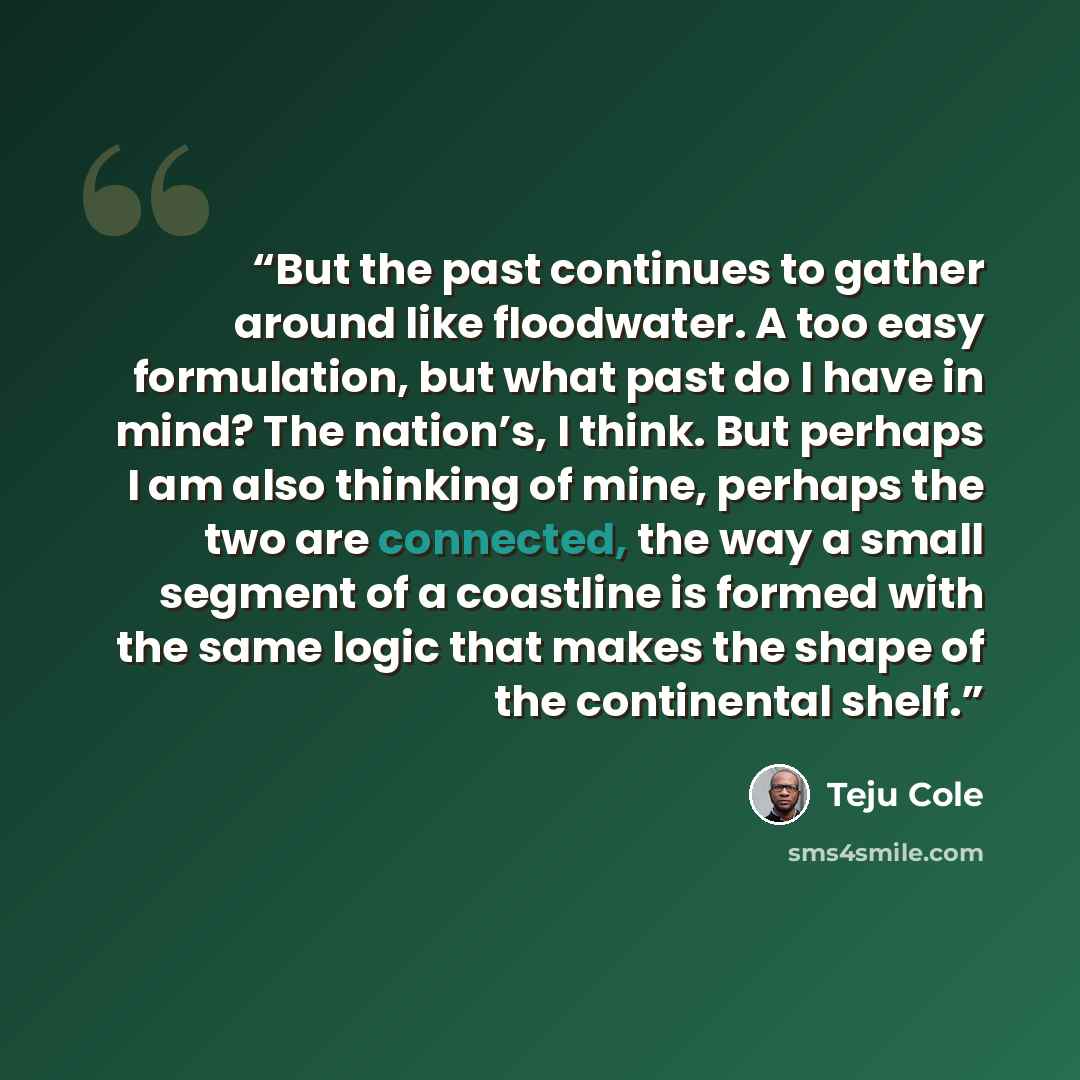 “But the past continues to gather around like floodwater. A too easy formulation, but what past do I have in mind? The nation’s, I think. But perhaps I am also thinking of mine, perhaps the two are connected, the way a small segment of a coastline is formed with the same logic that makes the shape…” quote by Teju Cole