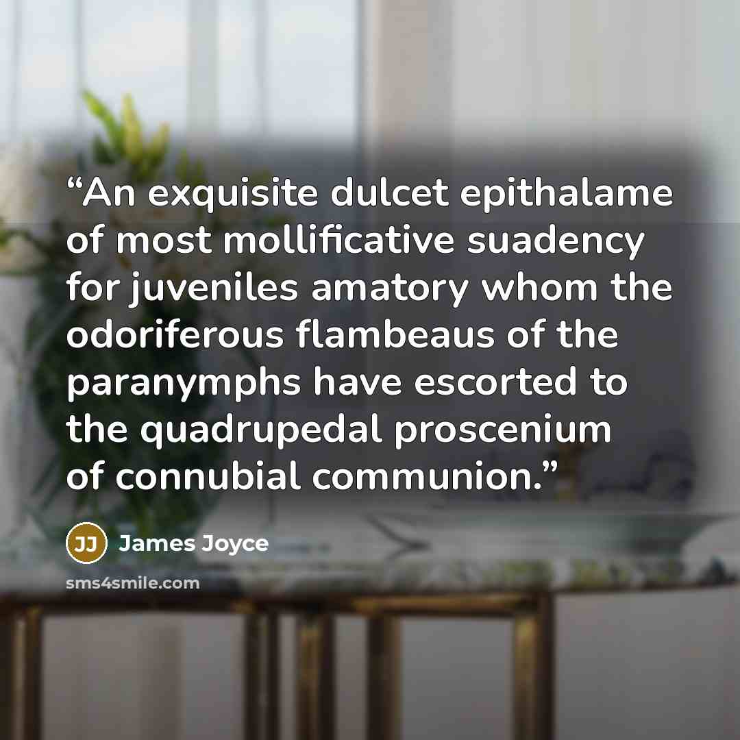 “An exquisite dulcet epithalame of most mollificative suadency for juveniles amatory whom the odoriferous flambeaus of the paranymphs have escorted to the quadrupedal proscenium of connubial communion.” quote by James Joyce
