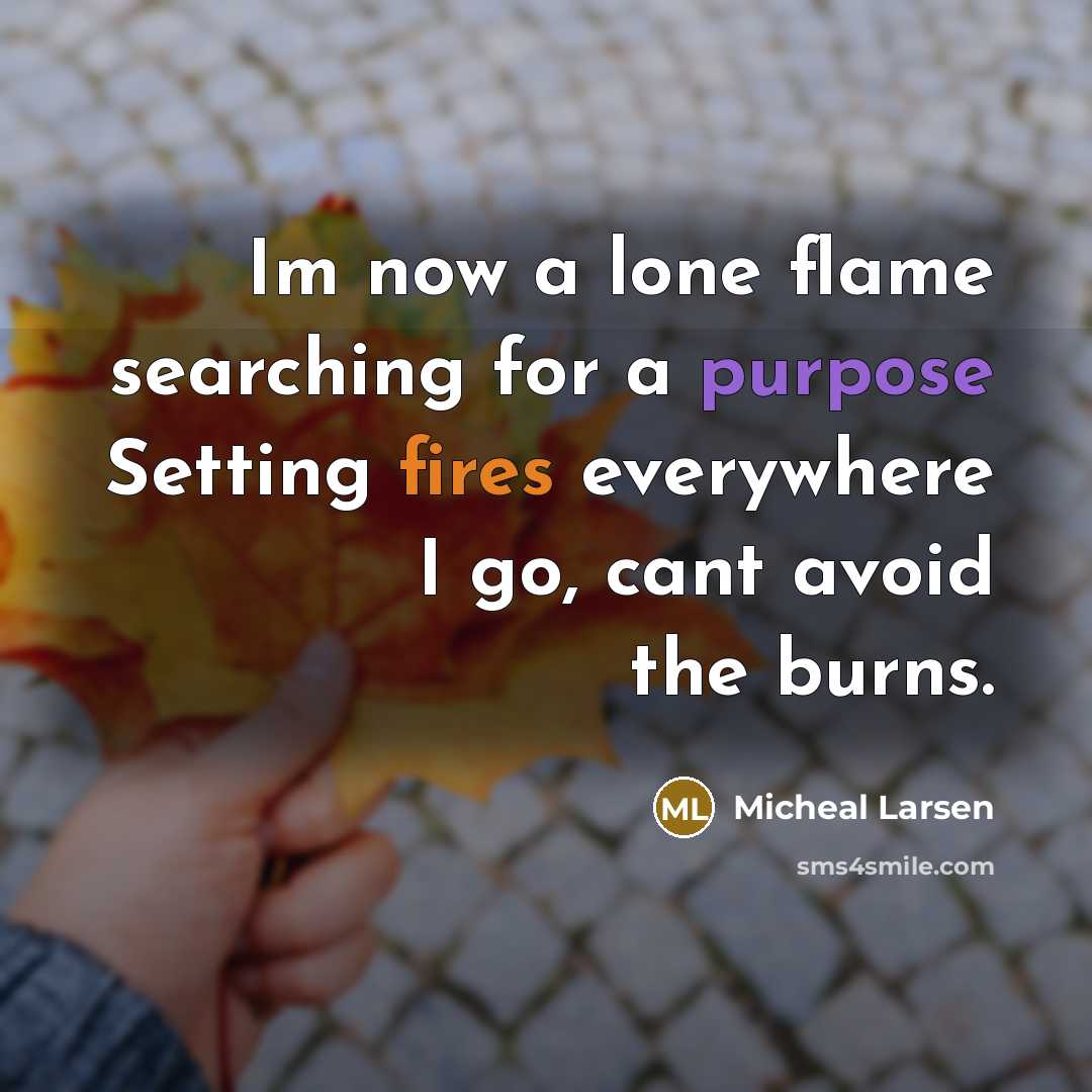 “Im now a lone flame searching for a purpose Setting fires everywhere I go, cant avoid the burns.” quote by Micheal Larsen