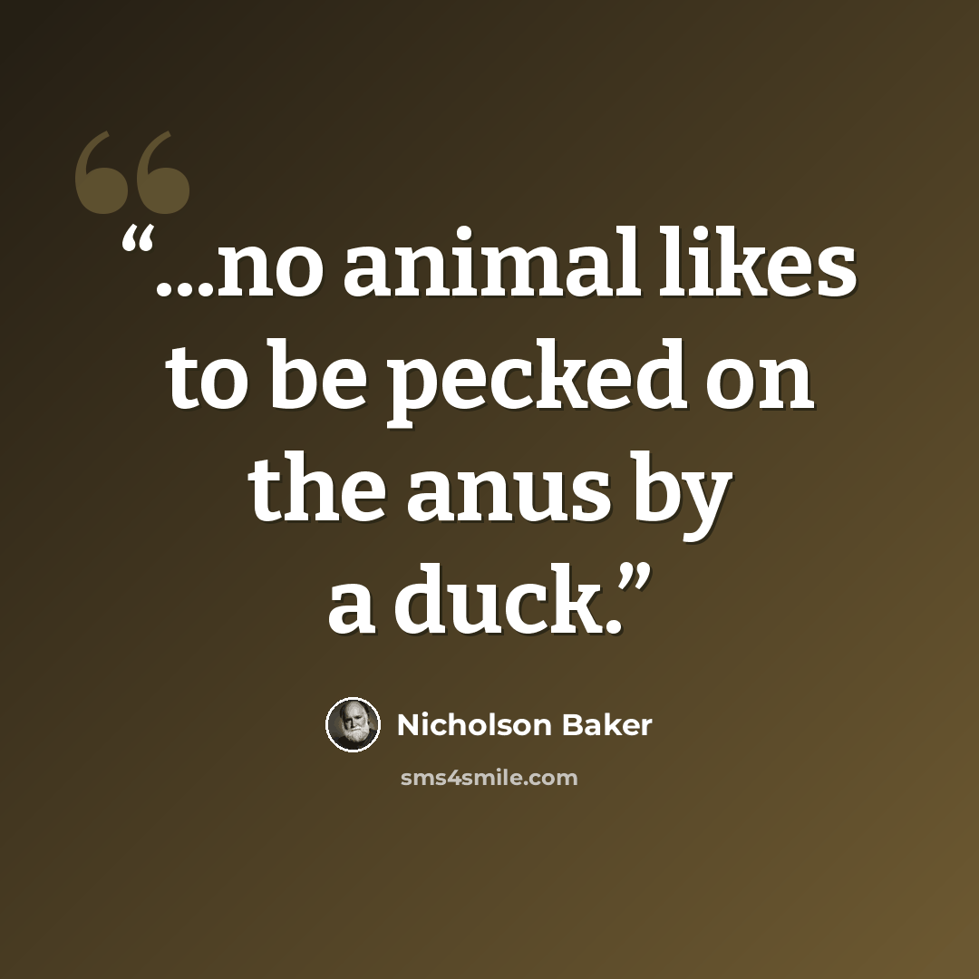 “...no animal likes to be pecked on the anus by a duck.” quote by Nicholson Baker