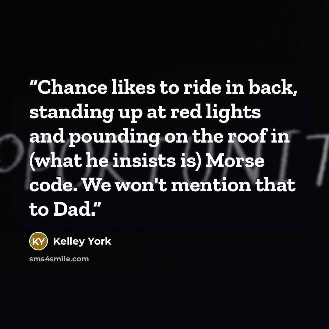 “Chance likes to ride in back, standing up at red lights and pounding on the roof in (what he insists is) Morse code. We won't mention that to Dad.” quote by Kelley York
