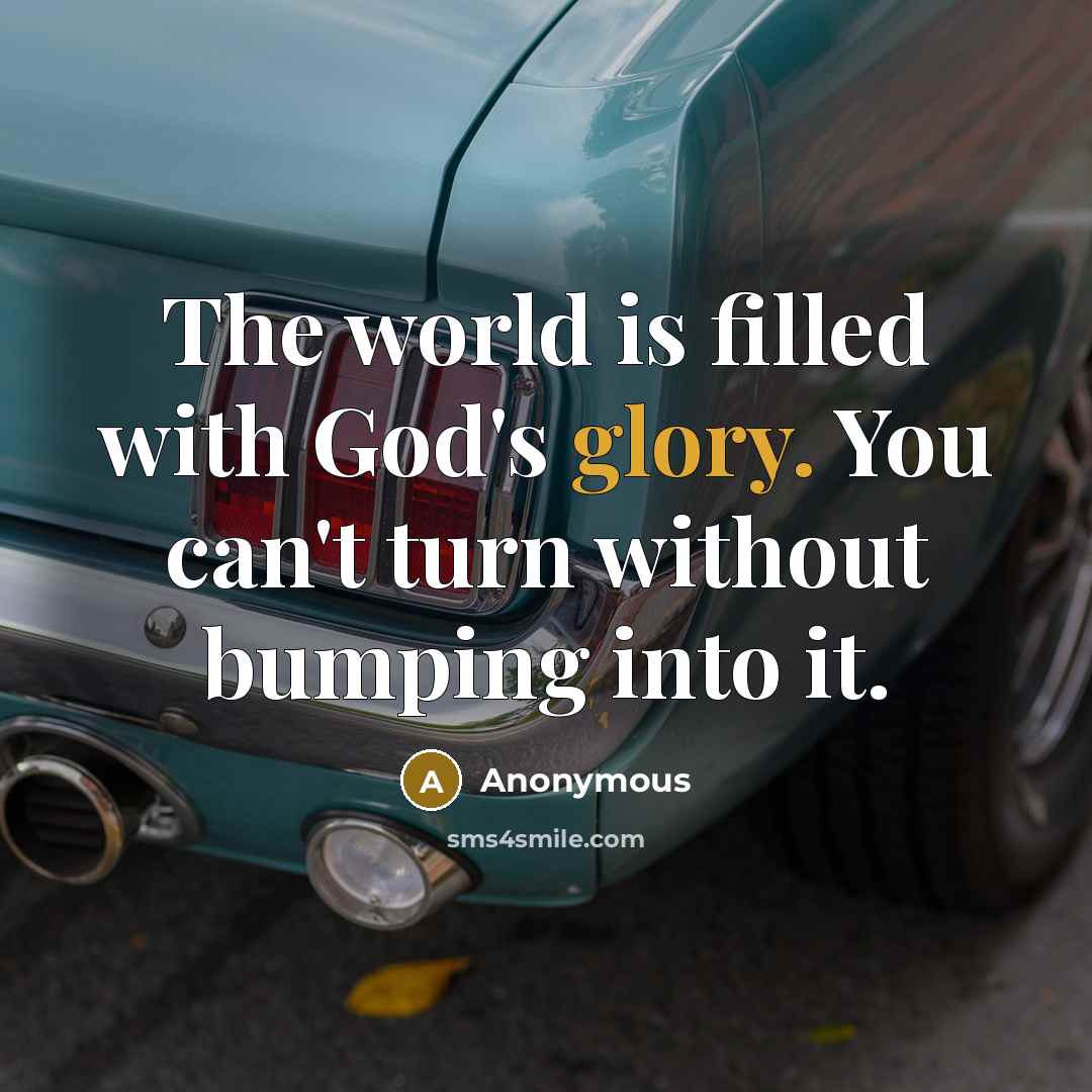 “The world is filled with God's glory. You can't turn without bumping into it.” quote by Anonymous
