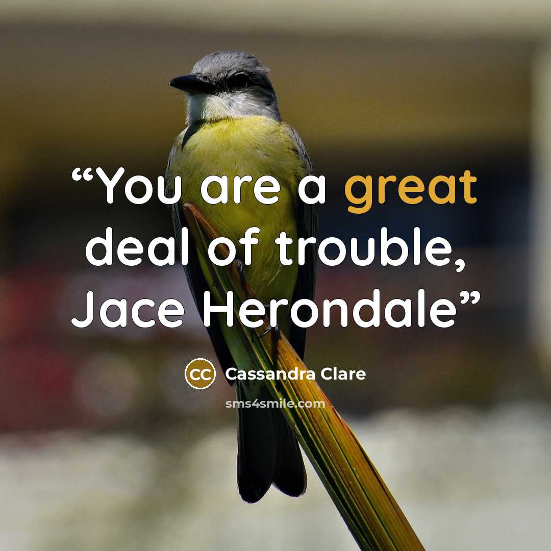 “You are a great deal of trouble, Jace Herondale” quote by Cassandra Clare