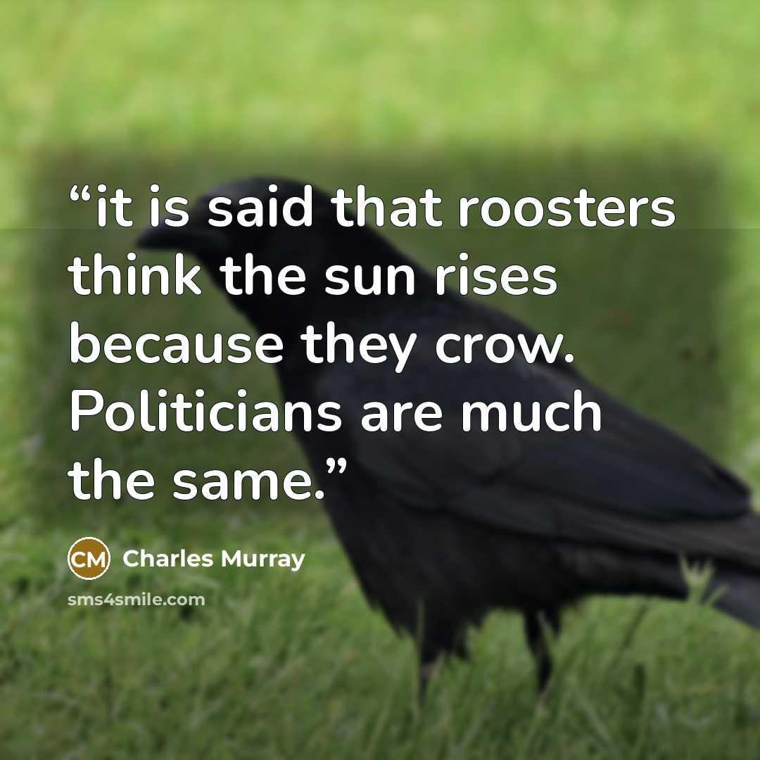 “it is said that roosters think the sun rises because they crow. Politicians are much the same.” quote by Charles Murray