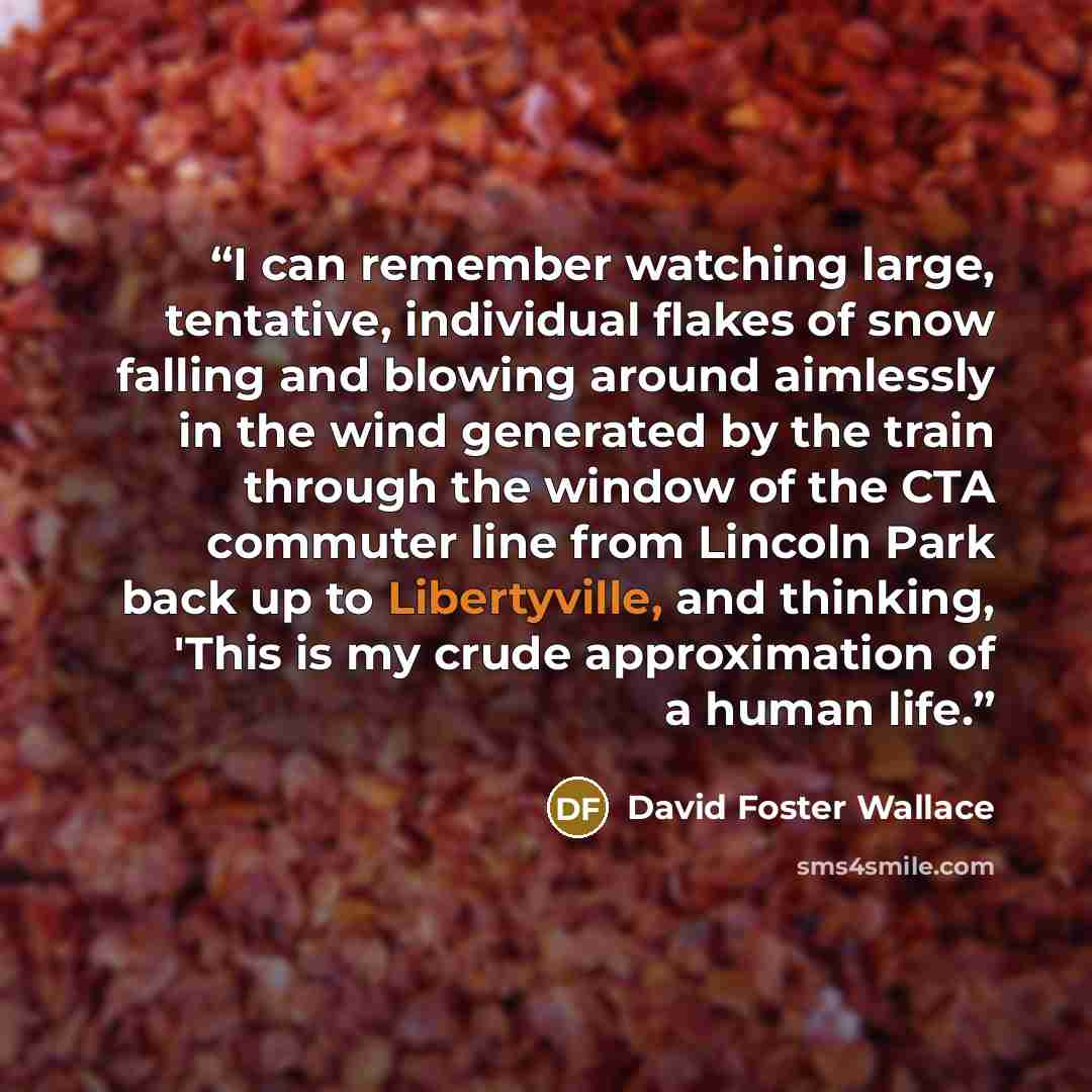 “I can remember watching large, tentative, individual flakes of snow falling and blowing around aimlessly in the wind generated by the train through the window of the CTA commuter line from Lincoln Park back up to Libertyville, and thinking, 'This is my crude approximation of a human life.” quote by David Foster Wallace