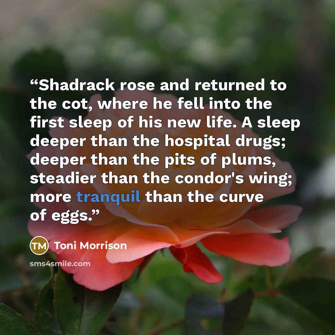 “Shadrack rose and returned to the cot, where he fell into the first sleep of his new life. A sleep deeper than the hospital drugs; deeper than the pits of plums, steadier than the condor's wing; more tranquil than the curve of eggs.” quote by Toni Morrison