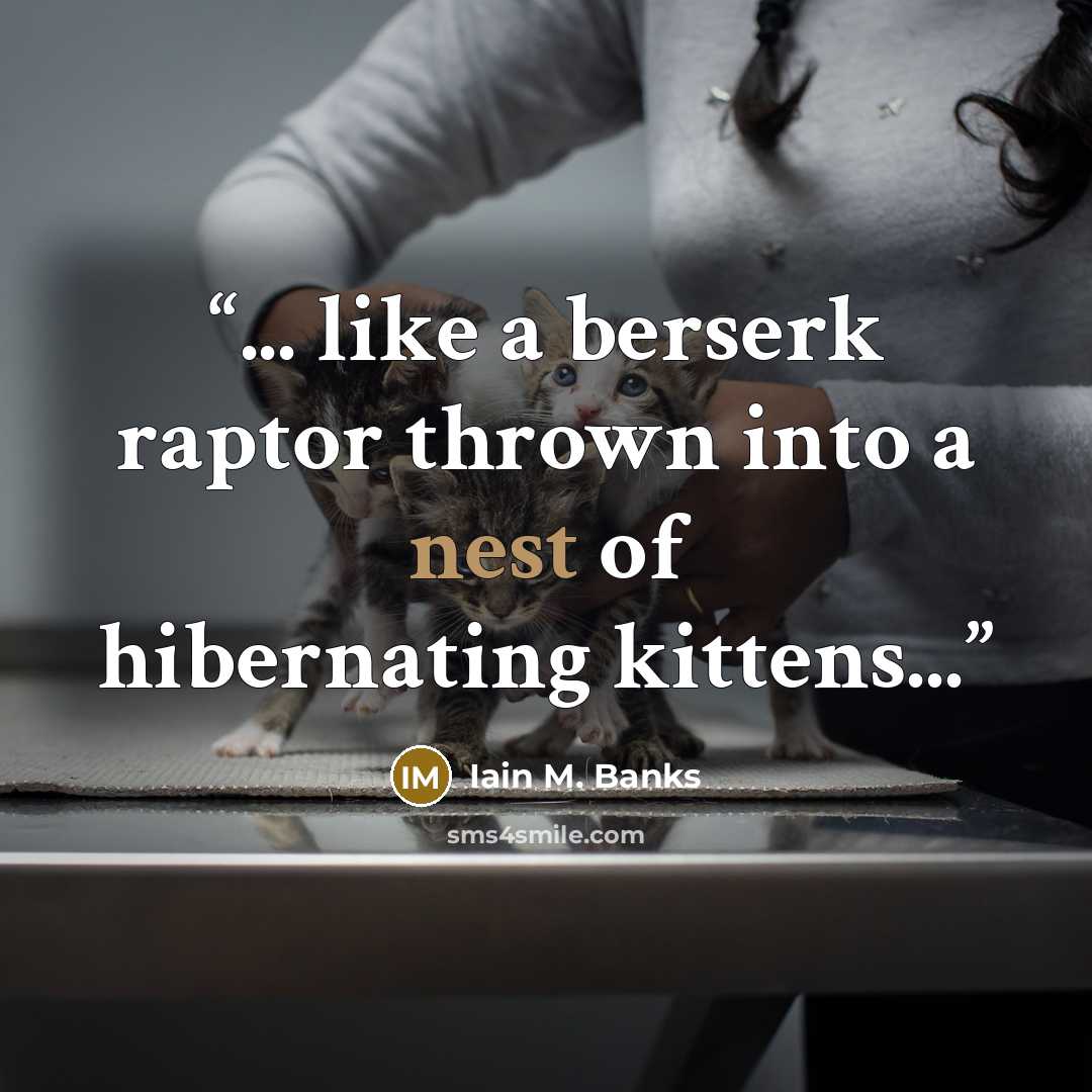“... like a berserk raptor thrown into a nest of hibernating kittens...” quote by Iain M. Banks
