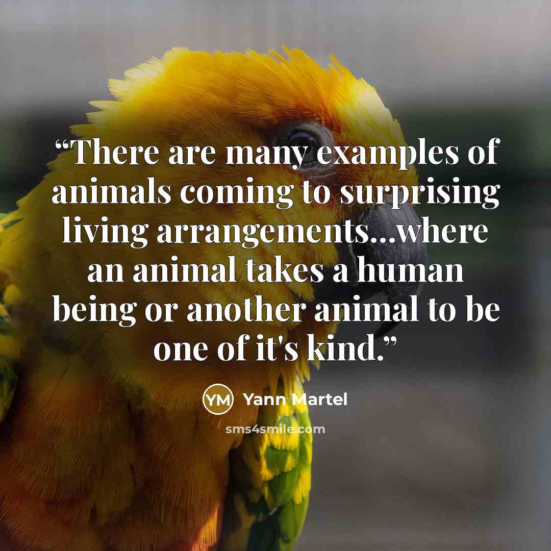 “There are many examples of animals coming to surprising living arrangements...where an animal takes a human being or another animal to be one of it's kind.” quote by Yann Martel