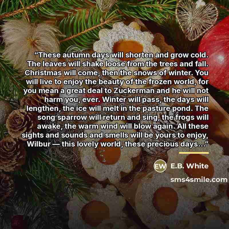 “These autumn days will shorten and grow cold. The leaves will shake loose from the trees and fall. Christmas will come, then the snows of winter. You will live to enjoy the beauty of the frozen world, for you mean a great deal to Zuckerman and he will not harm you, ever. Winter will pass, the days…” quote by E.B. White