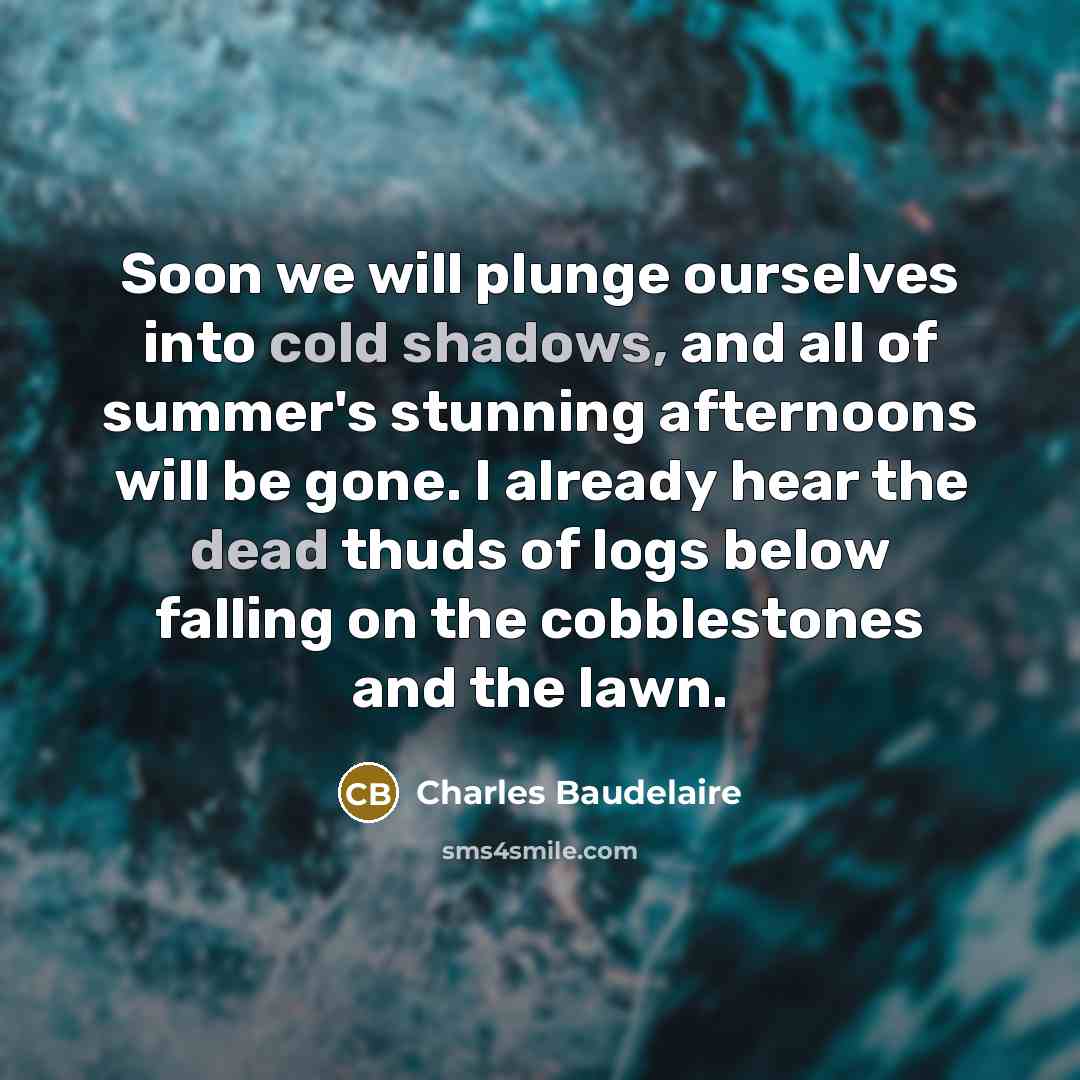 “Soon we will plunge ourselves into cold shadows, and all of summer's stunning afternoons will be gone. I already hear the dead thuds of logs below falling on the cobblestones and the lawn.” quote by Charles Baudelaire