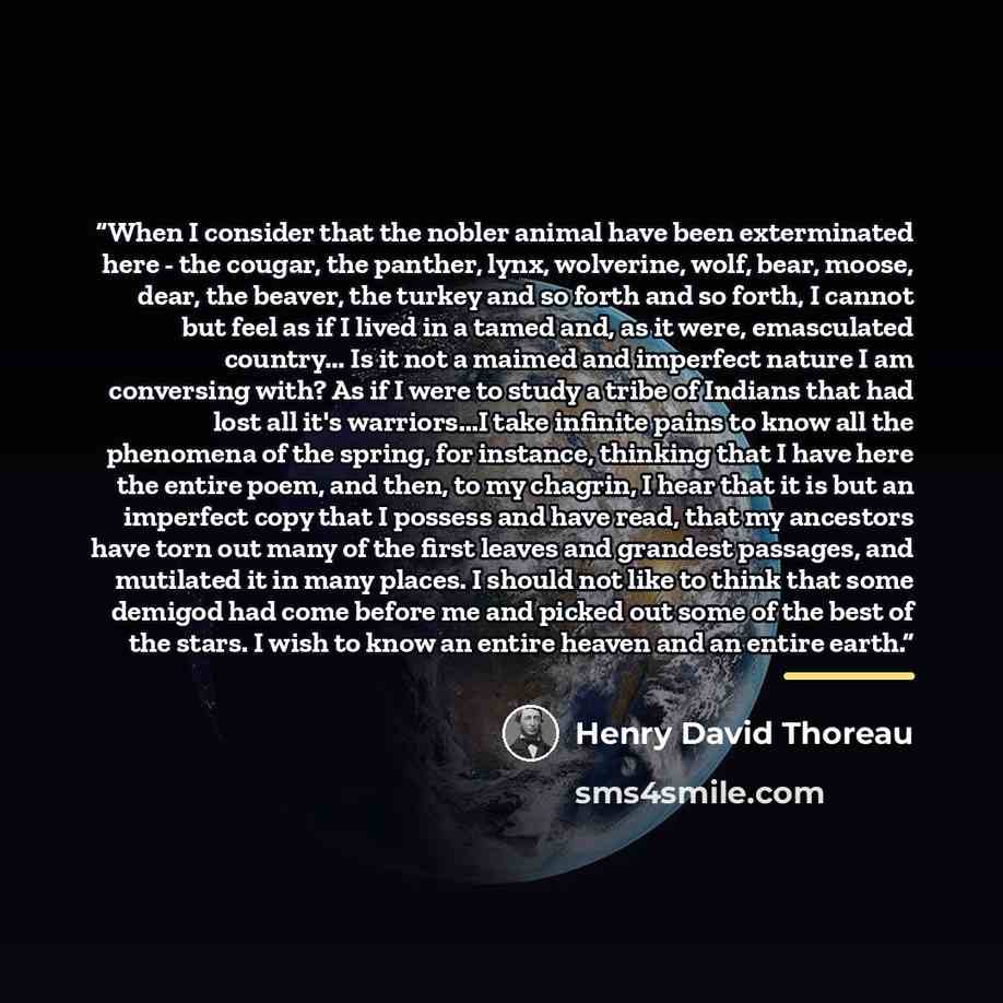 “When I consider that the nobler animal have been exterminated here - the cougar, the panther, lynx, wolverine, wolf, bear, moose, dear, the beaver, the turkey and so forth and so forth, I cannot but feel as if I lived in a tamed and, as it were, emasculated country... Is it not a maimed and…” quote by Henry David Thoreau