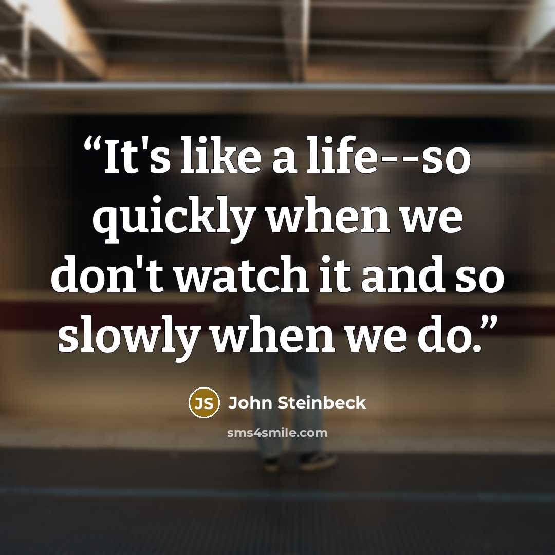 “It's like a life--so quickly when we don't watch it and so slowly when we do.” quote by John Steinbeck